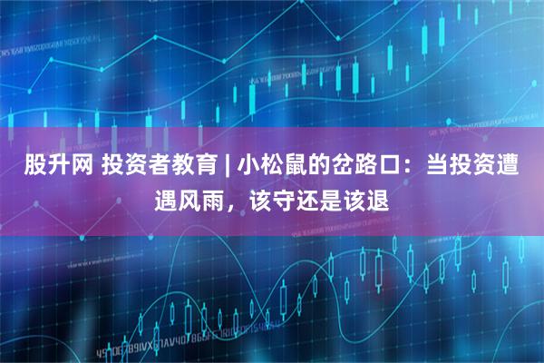 股升网 投资者教育 | 小松鼠的岔路口：当投资遭遇风雨，该守还是该退