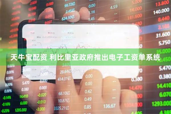 天牛宝配资 利比里亚政府推出电子工资单系统